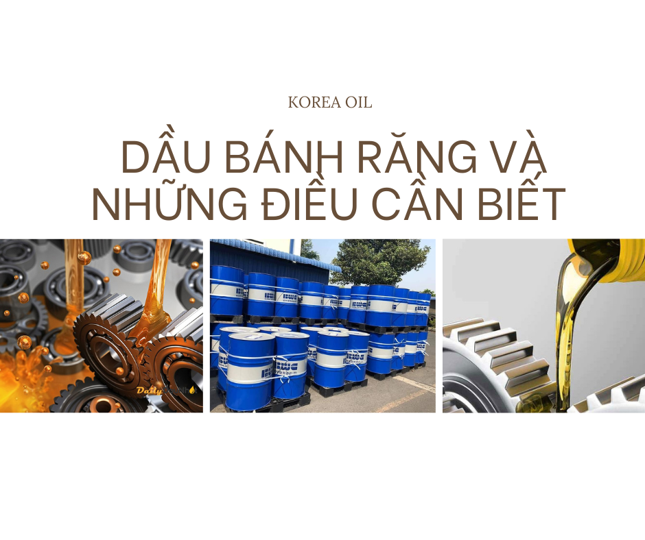 dau banh rang va nhung dieu can biet