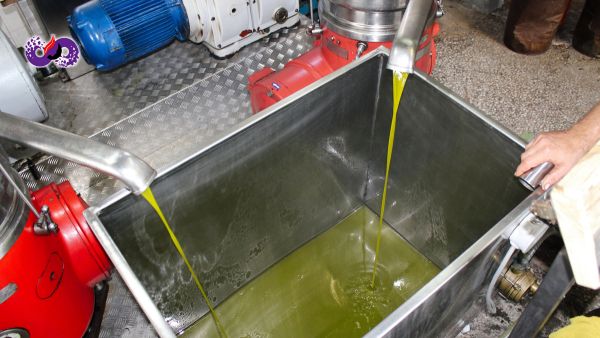 Các yếu tố ảnh hưởng đến chất lượng dầu nhớt công nghiệp 6 dspvina-cac-yeu-to-anh-huong-den-chat-luong-dau-nhot-cong-nghiep-5