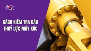 dspvina cach kiem tra dau thuy luc may xuc