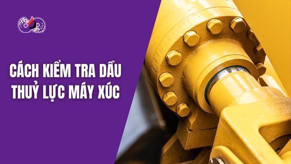 dspvina cach kiem tra dau thuy luc may