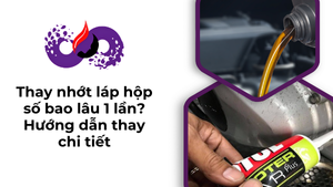 thay nhot lap hop so bao lau 1 lan