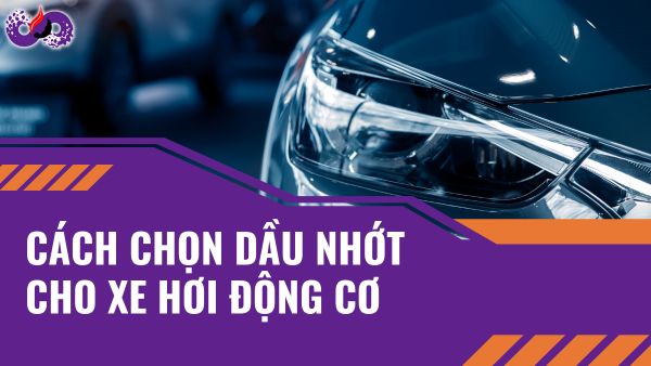 Cach-chon-dau-nhot-cho-xe-hoi-dong-co-xang