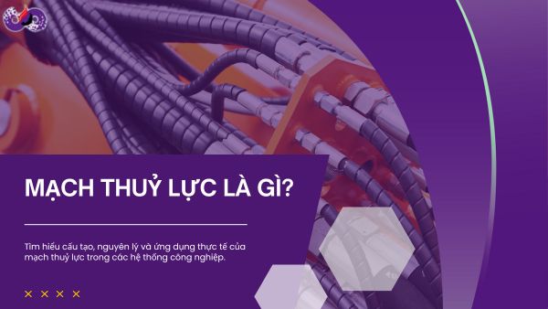 Mach-thuy-luc-la-gi