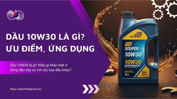 dspvina dau 10w30 la gi