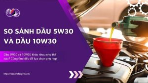 dspvina-so-sanh-dau-5w30-va-10w30