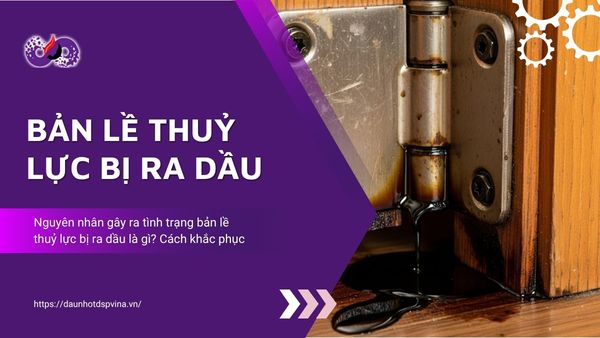 dspvina-ban-le-thuy-luc-bi-ra-dau