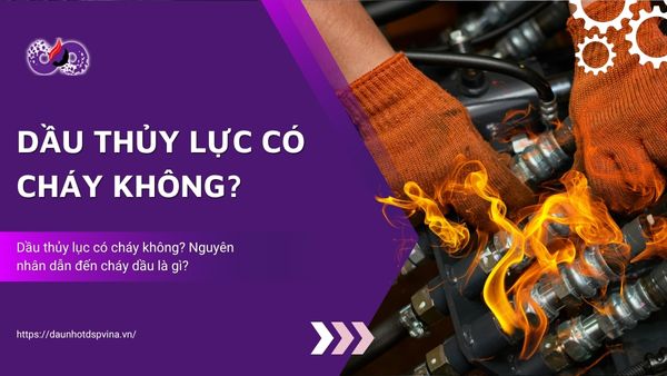 dspvina-dau-thuy-luc-co-chay-khong