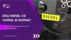 dspvina-dau-diesel-co-chong-gi-khong