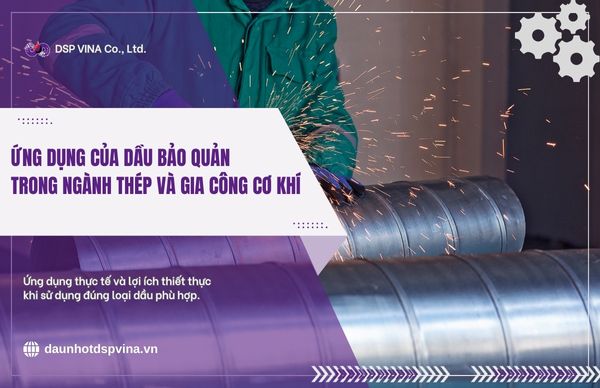 dspvina-dau-bao-quan