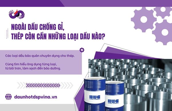 dspvina-dau-chong-gi