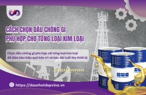 dspvina-dau-chong-gi