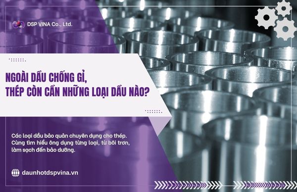 dspvina-dau-chong-gi