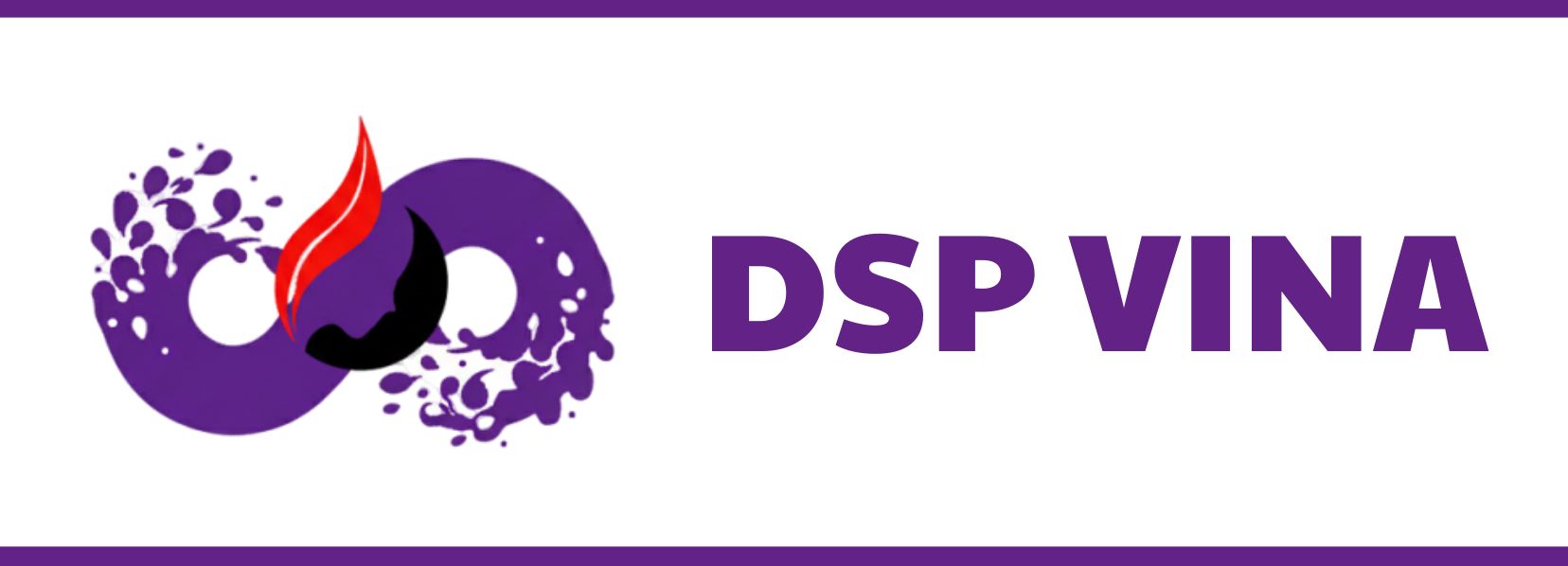 dspvina-introduction-1