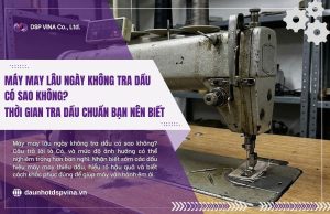 dspvina-may-may-lau-ngay-khong-tra-dau