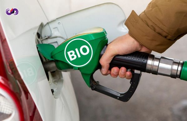 dspvina-cac-loai-dau-diesel-pho-bien-hien-nay