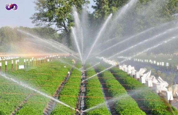 dspvina-dau-diesel-dung-de-lam-gi