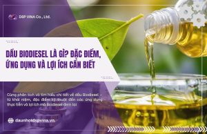 dspvina-dau-biodiesel-la-gi